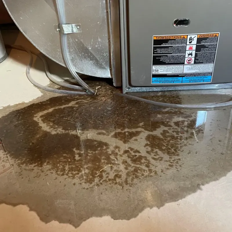 Pipe Burst and Leak Restoration in Smithville-Sanders, IN