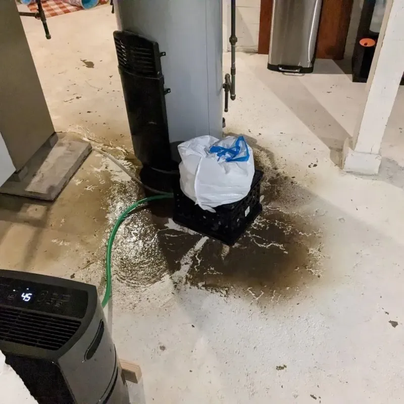 Sewage Backup Cleanup Service in Smithville-Sanders, IN